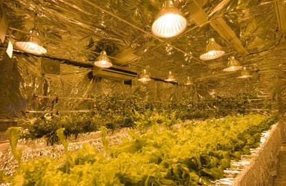 青森県立柏木農業高等学校 植物栽培実験室(青森県平川市)