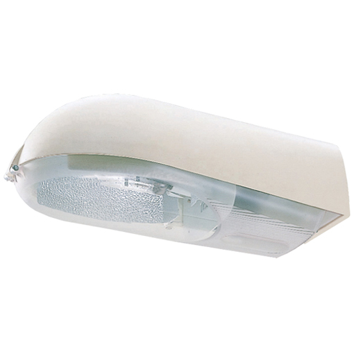 iroiro 7日中 s-l400.jpg