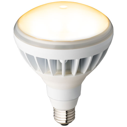 セルフバラスト水銀ランプ160W→LEDランプに置き換え | 水銀ランプの
