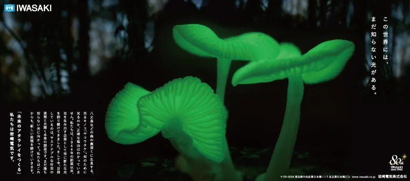 2024年8月16日 日刊工業新聞掲載の新聞広告「この世界には、まだ知らない光がある。」