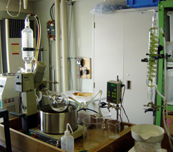 新発光材料の合成研究