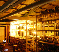 光源のライフテスト