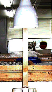 150W・脱皮不全、骨格形成不全対策