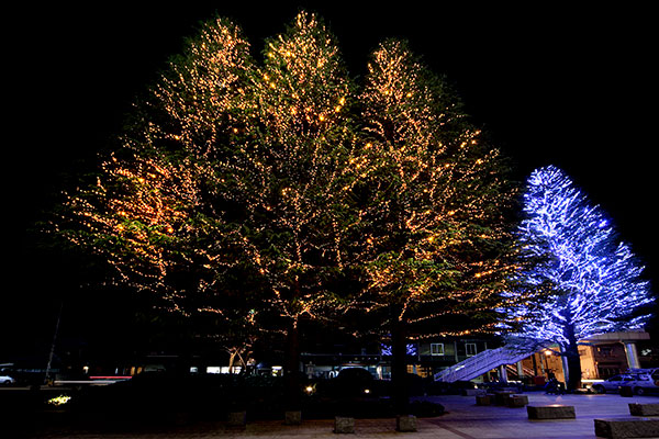 LEDイルミネーション