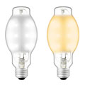LEDioc LED 燈泡 G