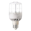 LEDioc LED 燈泡適用于 Pazu