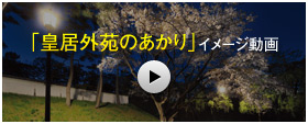 「皇居外苑のあかり」イメージ動画